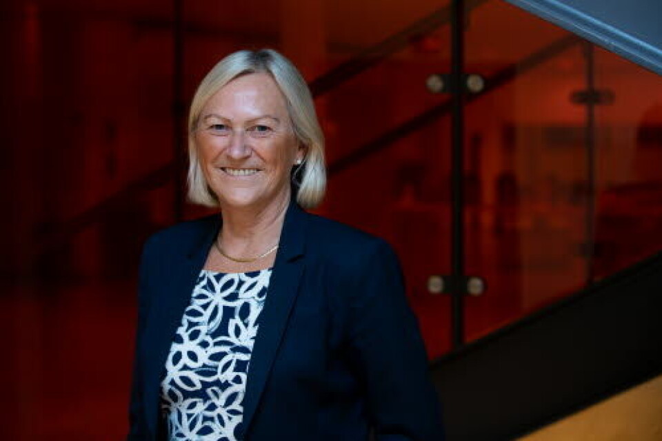 UiO-professor og avdelingsleder ved OUS, Sigrun Halvorsen, får mye skryt for jobben hun har gjort. Foto: Vidar Sandnes