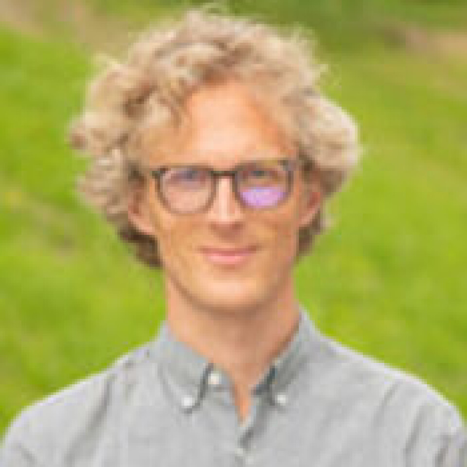 Martin Bruusgaard Harbitz