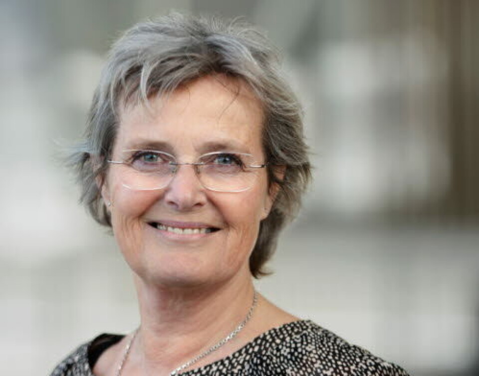 Heidi Vifladt
Foto: Geir Mogen/NTNU