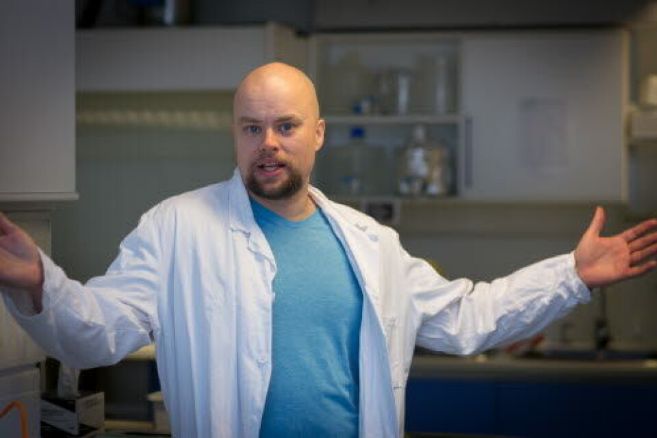 SPENNENDE: – Dette er en spennende studie som tar for seg en viktig funksjon som inngår i hjernens meget komplekse signalsystemer, sier NTNU-forsker Asgeir Kobro-Flatmoen. Foto: Guro Kulset Merakerås SPENNENDE: – Dette er en spennende studie som tar for seg en viktig funksjon som inngår i hjernens meget komplekse signalsystemer, sier NTNU-forsker Asgeir Kobro-Flatmoen. Foto: Guro Kulset Merakerås