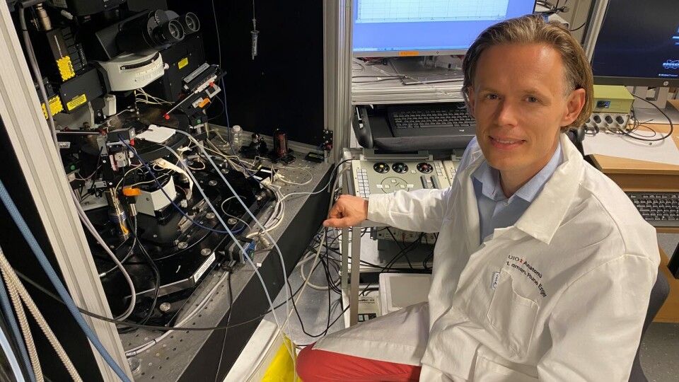 PASSER BEDRE: – Bortfall av funksjon hos astrocyttene passer bedre med de ulike symptomene vi ser hos Alzheimers-pasienter, enn den hyperaktiviteten som er vist tidligere. Og det er det vi finner i studien vår, sier UiO-forsker Rune Enger. Foto: Cecilie Bakken Høstmark, UiO Foto: PASSER BEDRE: – Bortfall av funksjon hos astrocyttene passer bedre med de ulike symptomene vi ser hos Alzheimers-pasienter, enn den hyperaktiviteten som er vist tidligere. Og det er det vi finner i studien vår, sier UiO-forsker Rune Enger. Foto: Cecilie Bakken Høstmark, UiO Foto: