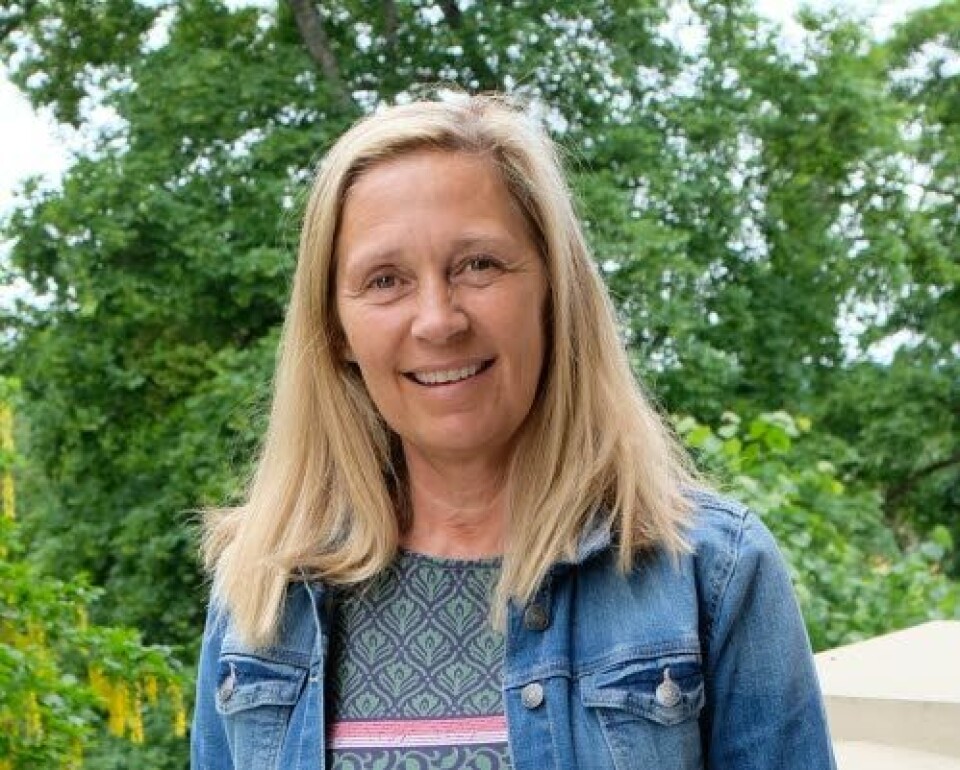 Ann Kristin Bakke