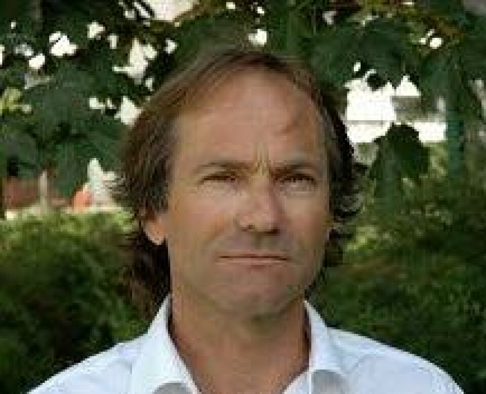 Stein Knardahl