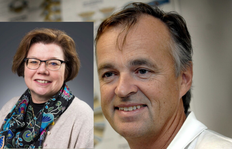 KREVENDE: Elin Olaug Rosvold, prodekan ved medisinstudiet på Universitetet i Oslo og professor Erik L. Werner, ansvarlig for praksis i medisinstudiet ved UiO, sier de sliter med å rekruttere og mangler veiledere til studenter som skal ut i allmennlegepraksis i mars. Foto: UiO/privat KREVENDE: Elin Olaug Rosvold, prodekan ved medisinstudiet på Universitetet i Oslo og professor Erik L. Werner, ansvarlig for praksis i medisinstudiet ved UiO, sier de sliter med å rekruttere og mangler veiledere til studenter som skal ut i allmennlegepraksis i mars. Foto: UiO/privat