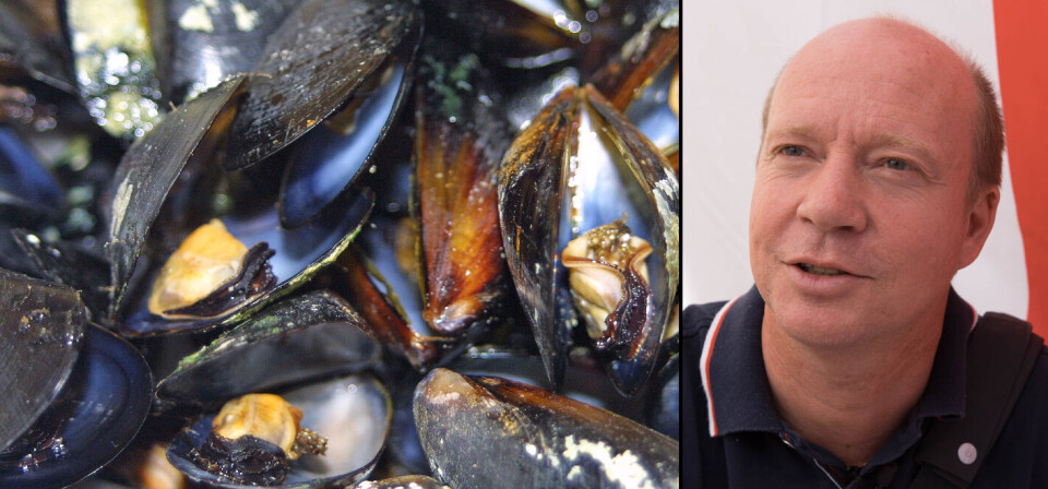 INGEN FORSKJELL: Ketil Kjenseth mener det er rimelig at myndighetene støtter soppkontroll økonomisk, all den tid staten tar regningen for blåskjellvarsel. Foto: Colourbox/Per Corneliussen (montasje)