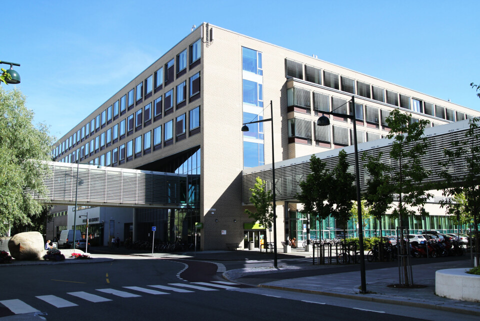 STORE VARIASJONER: Med 18 varsler er St. Olavs det universitetssykehuset som mottok flest varsler om trakassering i fjor. Bildet fra Kvinne-barn-klinikken er ikke spesielt tilknyttet saken. Foto: St. Olavs hospital