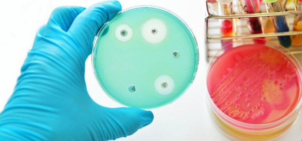 FLERE BLIR SYKE: Sykdom som skyldes antibiotikaresistente bakterier har økt betydelig de siste åtte årene. Foto: