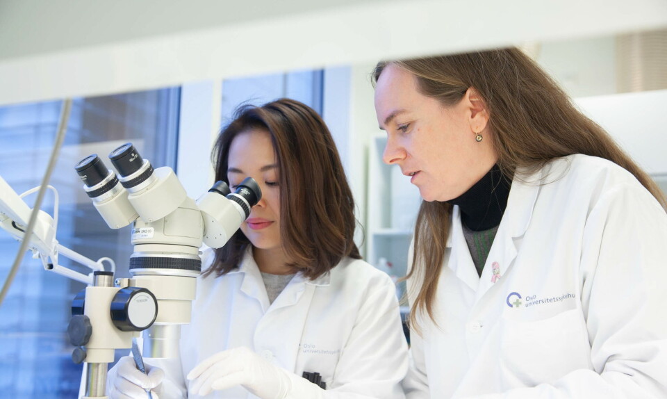 MODERNE KREFTDIAGNOSTIKK: Overlege Hege Russnes og ingeniør My Anh Tu Sveli forbereder svulstvevet for genetisk analyse. Foto: Lasse Moe MODERNE KREFTDIAGNOSTIKK: Overlege Hege Russnes og ingeniør My Anh Tu Sveli forbereder svulstvevet for genetisk analyse. Foto: Lasse Moe