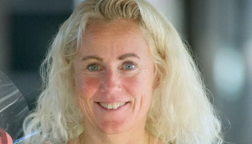 Ann-Chatrin Linqvist Leonardsen