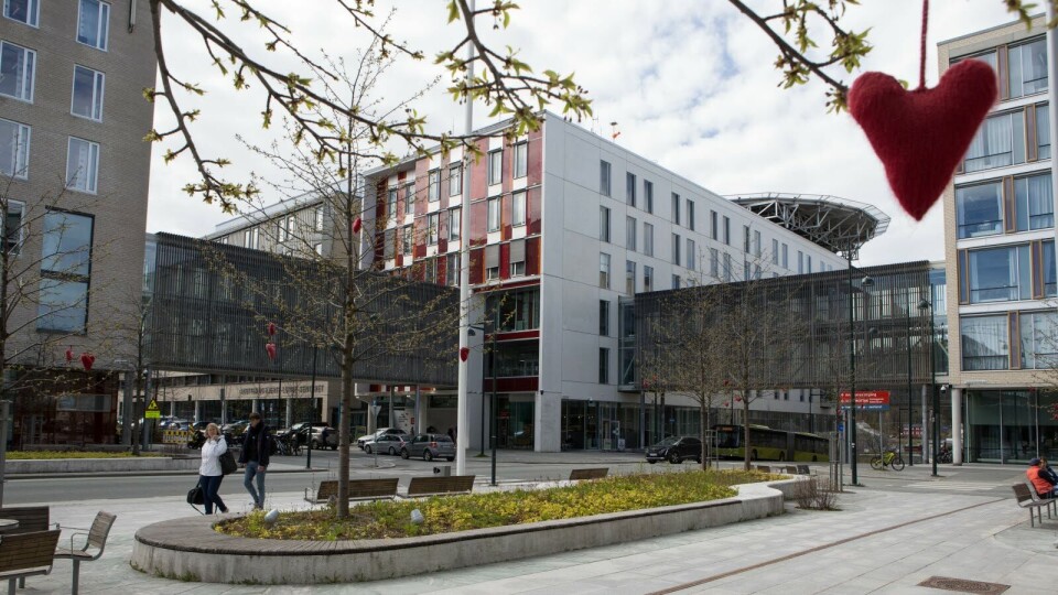 STOPPER IKKE INNFØRING: – Styret har tatt inn over seg de bekymringsmeldinger som ansatte ved St. Olavs hospital er kommet med de siste ukene og det er derfor iverksatt en rekke tiltak for å gi støtte og ivareta pasientsikkerheten i det som ganske sikkert blir en krevende oppstartperiode, sier styreleder Odd Inge Mjøen i Helse Midt-Norge RHF. Arkivfoto: Guro Kulset Merakerås Foto: STOPPER IKKE INNFØRING: – Styret har tatt inn over seg de bekymringsmeldinger som ansatte ved St. Olavs hospital er kommet med de siste ukene og det er derfor iverksatt en rekke tiltak for å gi støtte og ivareta pasientsikkerheten i det som ganske sikkert blir en krevende oppstartperiode, sier styreleder Odd Inge Mjøen i Helse Midt-Norge RHF. Arkivfoto: Guro Kulset Merakerås Foto: