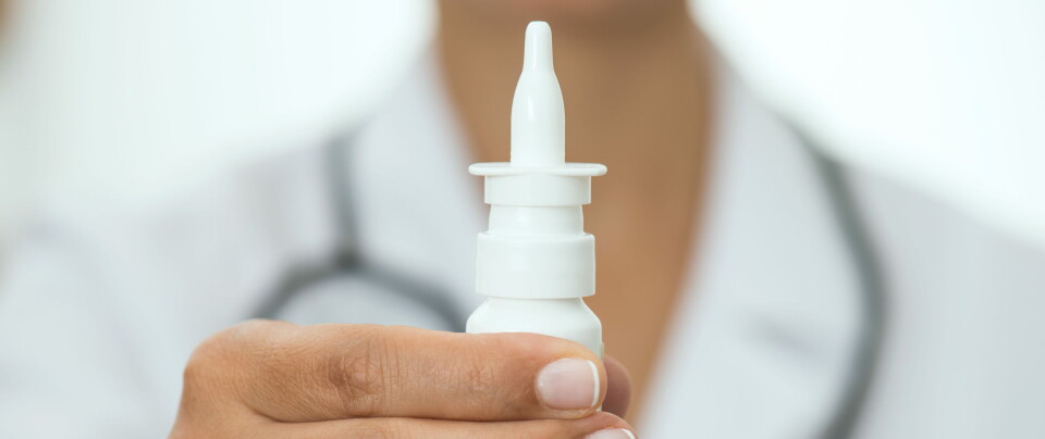 Pulverbasert glukagon som nesespray, som ble godkjent av FDA i forrige uke, skal brukes som nødbehandling av insulin-indusert hypoglykemi, en tilstand der pasienten får svært lavt blodsukker. Illustrasjon: Getty Images Foto: