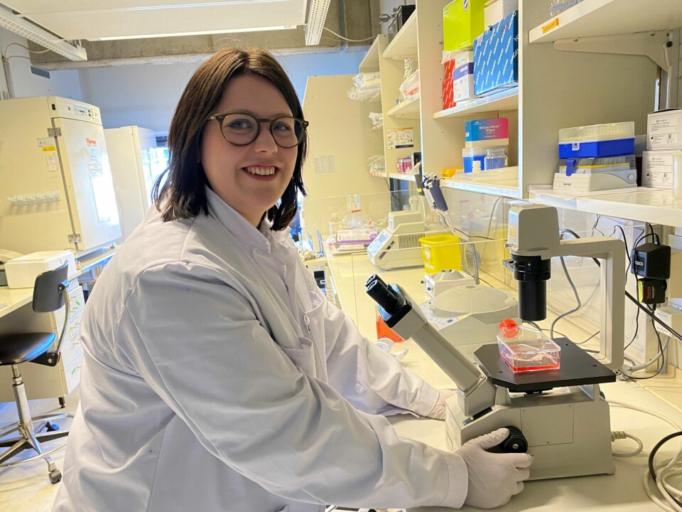REDUSERE SENSKADER: Forsker Nina Richartz, ved Avdeling for molekylærmedisin ved UiO, jobber med å finne flere måter å angripe kreften på. Håpet er å kunne redusere dosene av dagens cellegift.  Foto: Cecilie Bakken Høstmark/UiO