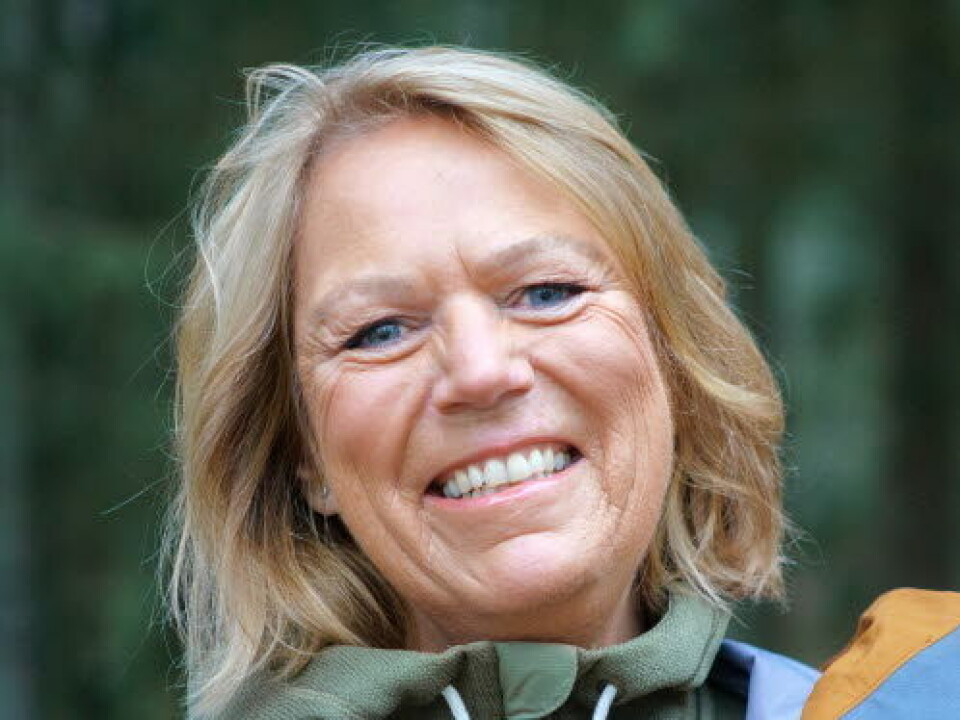 Bente Lier