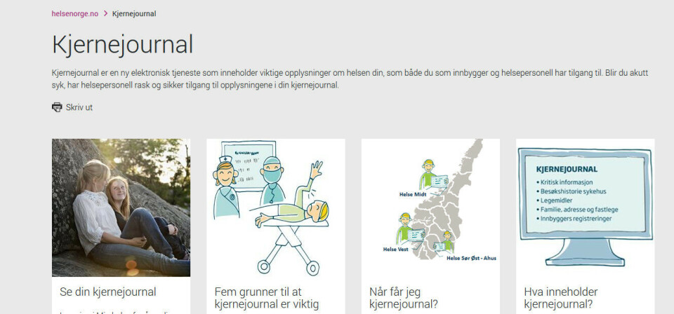 KJERNEJOURNAL: 3,2 millioner nordmenn har nå tilgang. Foto: Skjermdump