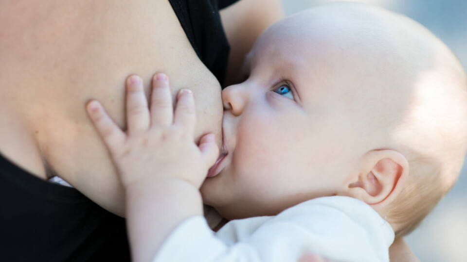 JOD: Fullammede tremåneder gamle babyer har lavere jodstatus enn anbefalt, men forskerne vet ikke hvilken klinisk betydning dette har. Foto: Getty Images Foto: JOD: Fullammede tremåneder gamle babyer har lavere jodstatus enn anbefalt, men forskerne vet ikke hvilken klinisk betydning dette har. Foto: Getty Images Foto: