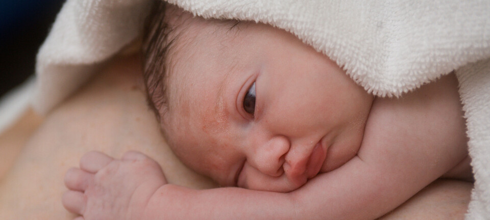 Kraftig økning i planlagte hjemmefødsler uten helsepersonell – kan være enda flere