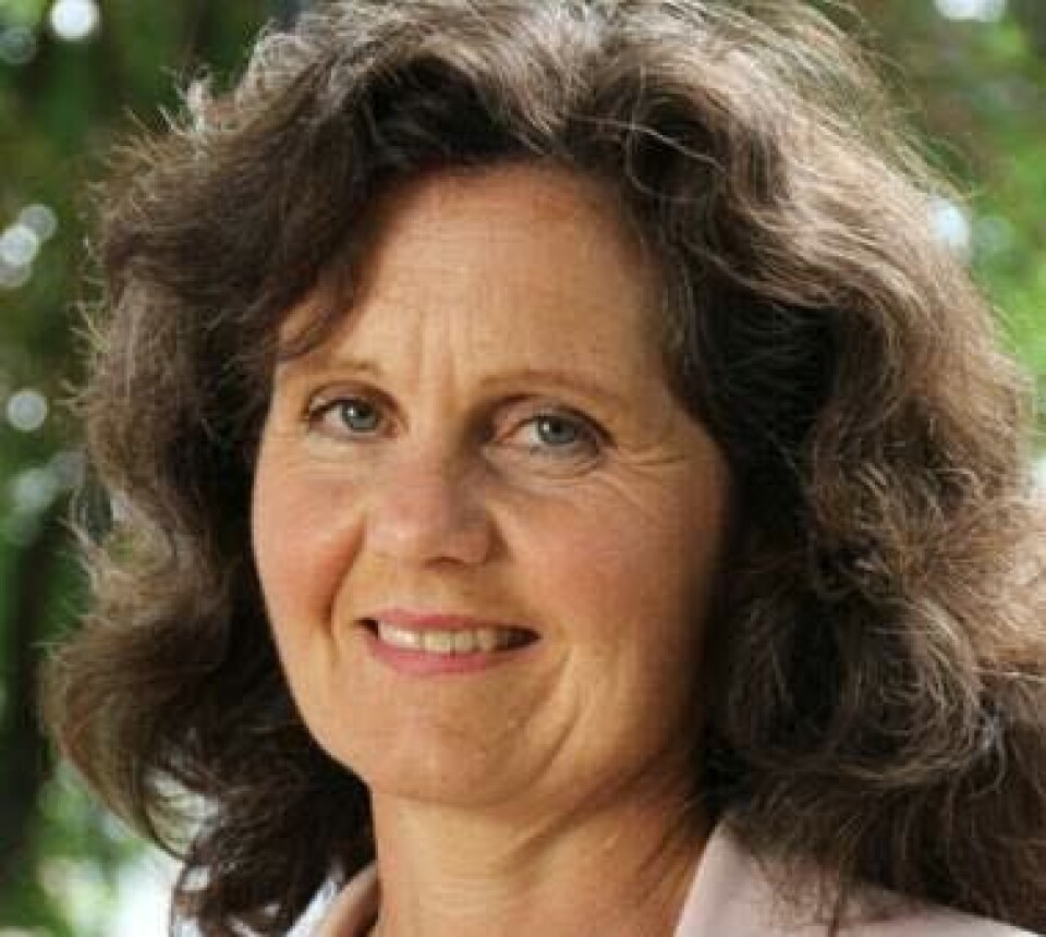 Wenche P. Dehli