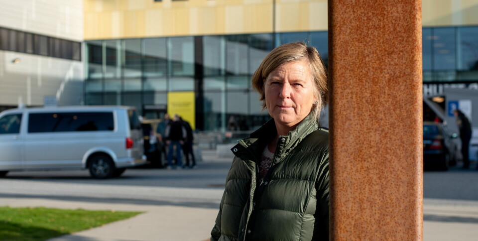 IKKE ALENE: – Jeg stiller som representant for flere leger. Dette er ikke et enmannsshow, sier Anne-Karin Rime. Foto: Vidar Sandnes IKKE ALENE: – Jeg stiller som representant for flere leger. Dette er ikke et enmannsshow, sier Anne-Karin Rime. Foto: Vidar Sandnes