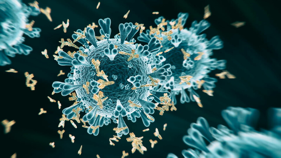 – Vår erfaring med Covid-19 har lært oss at en ideell vaksine må være robust mot et viruslandskap som er i stadig endring, sier direktør i NEC OncoImmunity Richard Stratford. Foto: Getty Images