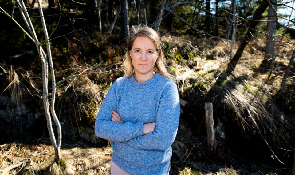 TILBAKE TIL START: – Ett år med pandemi oppleves som et stigespill, der vi etter flere år med kampanjer som har økt deltakelsen, rykker mange steg tilbake, sier leder Ameli Tropé i Kreftregisterets screeningprogram. Foto: TILBAKE TIL START: – Ett år med pandemi oppleves som et stigespill, der vi etter flere år med kampanjer som har økt deltakelsen, rykker mange steg tilbake, sier leder Ameli Tropé i Kreftregisterets screeningprogram. Foto: