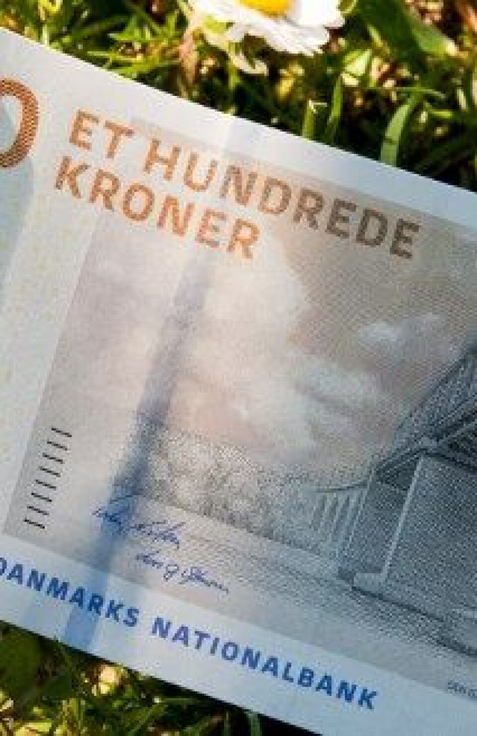 Illustrasjonsfoto: Colourbox