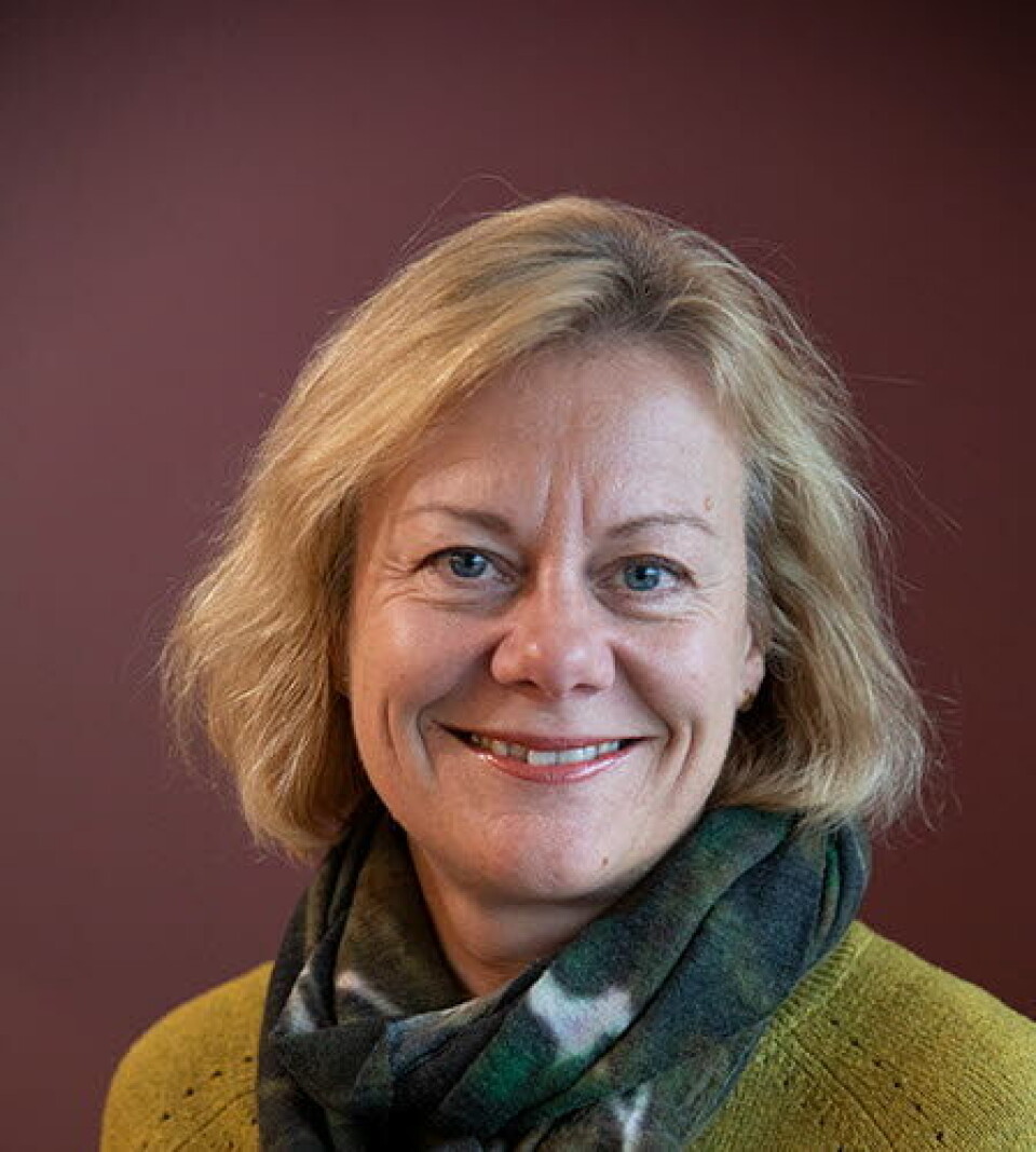 Hilde Ariansen Hilde Ariansen