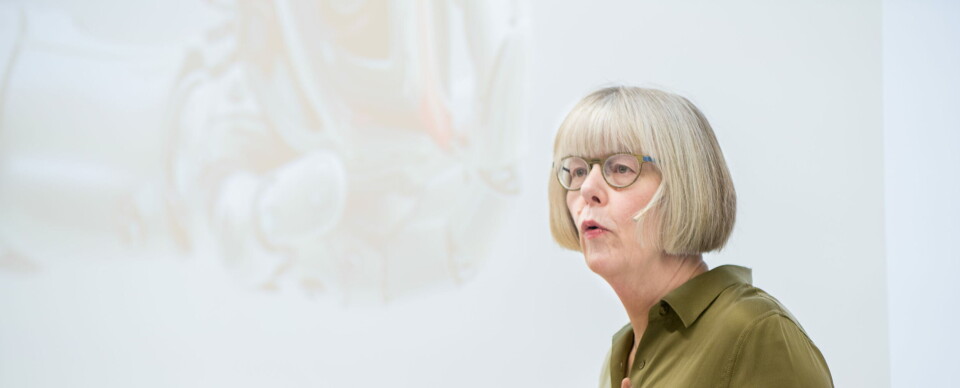 KREVENDE: – Personvern og pasientsikkerhet må ofte balanseres. Dette kan være krevende, og stiller store krav til helsepersonell, sier statssekretær Anne Grethe Erlandsen i Helse- og omsorgsdepartementet. Foto: Vidar Sandnes/arkivfoto