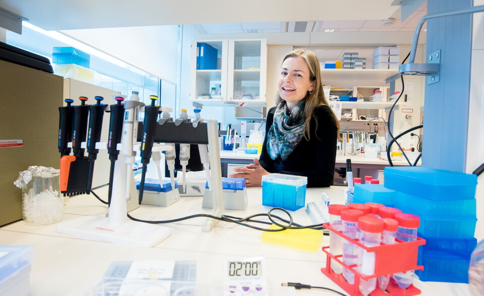 INVITERT: Johanna Olweus, forsker og professor ved Oslo universitetssykehus og Universitetet i Oslo, er invitert foredragsholder til årets ASH-kongress. – Jeg håper det blir en del spørsmål fra interesserte tilhørere, sier hun til Dagens Medisin. Arkivbilde: Vidar Sandnes Foto: INVITERT: Johanna Olweus, forsker og professor ved Oslo universitetssykehus og Universitetet i Oslo, er invitert foredragsholder til årets ASH-kongress. – Jeg håper det blir en del spørsmål fra interesserte tilhørere, sier hun til Dagens Medisin. Arkivbilde: Vidar Sandnes Foto: