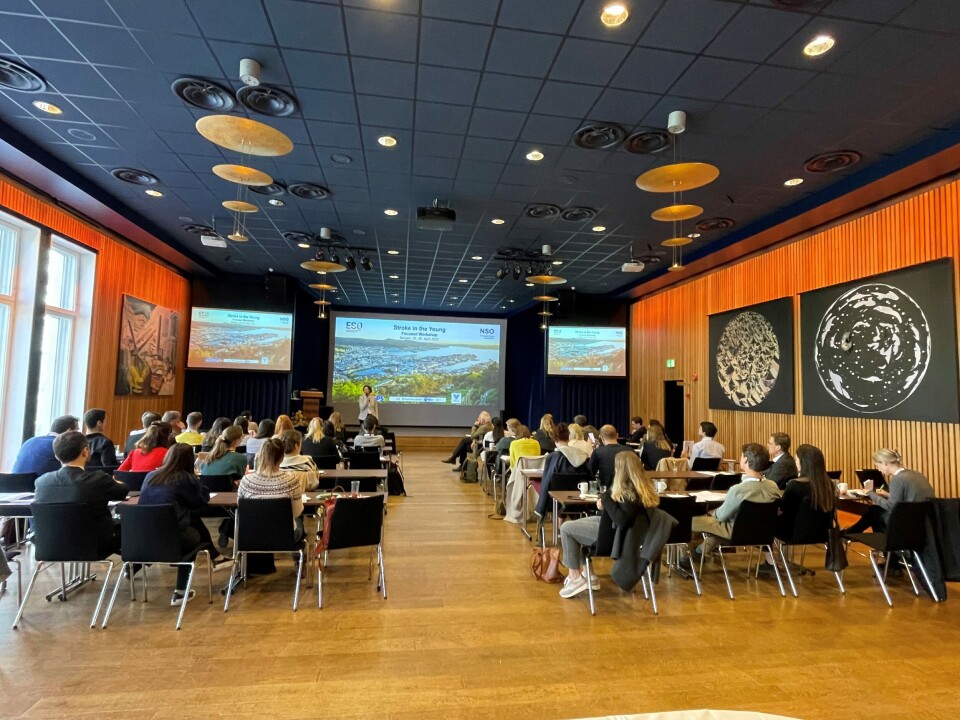 UNGE PASIENTER: Slagforskningsenheten ved Haukeland universitetssjukehus inviterte til workshop i regi av den europeiske og den norske slagorganisasjonen med fokus på unge pasienter med hjerneinfarkt. Foto: Foto: NSO/ Annette Fromm UNGE PASIENTER: Slagforskningsenheten ved Haukeland universitetssjukehus inviterte til workshop i regi av den europeiske og den norske slagorganisasjonen med fokus på unge pasienter med hjerneinfarkt. Foto: Foto: NSO/ Annette Fromm