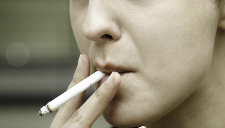 ØKER: 19 prosent blant menn og 13 prosent blant kvinner, svarer at de røyker av og til. Foto: Colourbox