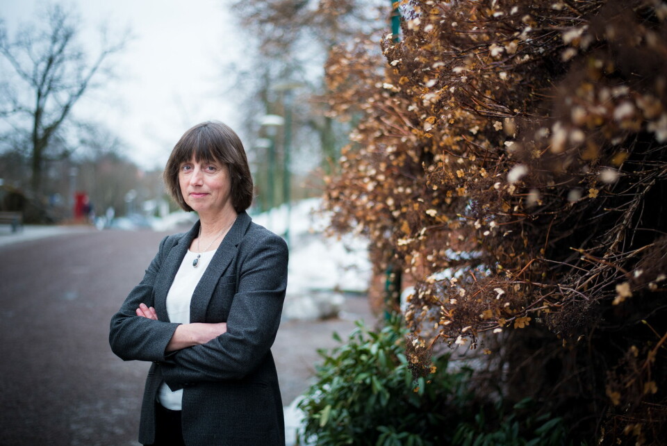 HAKESLIPP: Giske Ursin, direktør i Kreftregisteret, fikk hakeslipp da hun fikk presentert de potensielle kostnadene for å få innsyn i datasett via Helseanalyseplattformen. Foto: Vidar Sandnes HAKESLIPP: Giske Ursin, direktør i Kreftregisteret, fikk hakeslipp da hun fikk presentert de potensielle kostnadene for å få innsyn i datasett via Helseanalyseplattformen. Foto: Vidar Sandnes