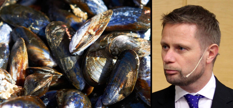 IKKE SYNLIG: Til forskjell fra sopp, er det er ikke mulig å se på blåskjell om de er giftige, skriver helseminister Bent Høie (H). Foto: Colourbox/Øyvind Bosnes Engen (montasje)