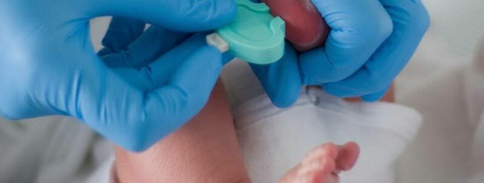 SCREENES: Ved nyfødtscreening tas en blodprøve i hælen på barnet. Rundt 55.000 barn testes hvert år og det er stor oppslutning om screening-programmet. Foto: Colourbox