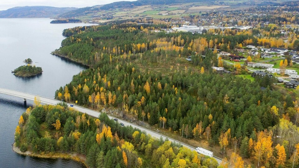 KAN HAVNE HER: Torsdag skal Helse Sør-Øst – igjen – bestemme om det skal bygges et nytt, stort Mjøssykehus på Moskogen ved Mjøsbrua på Ringsaker (til høyre på bildet), eller om det beste for innbyggerne i Innlandet er å utvikle sykehusstrukturen man har i dag. Foto: Stian Bye Høgsveen, Ringsaker Blad Foto: KAN HAVNE HER: Torsdag skal Helse Sør-Øst – igjen – bestemme om det skal bygges et nytt, stort Mjøssykehus på Moskogen ved Mjøsbrua på Ringsaker (til høyre på bildet), eller om det beste for innbyggerne i Innlandet er å utvikle sykehusstrukturen man har i dag. Foto: Stian Bye Høgsveen, Ringsaker Blad Foto:
