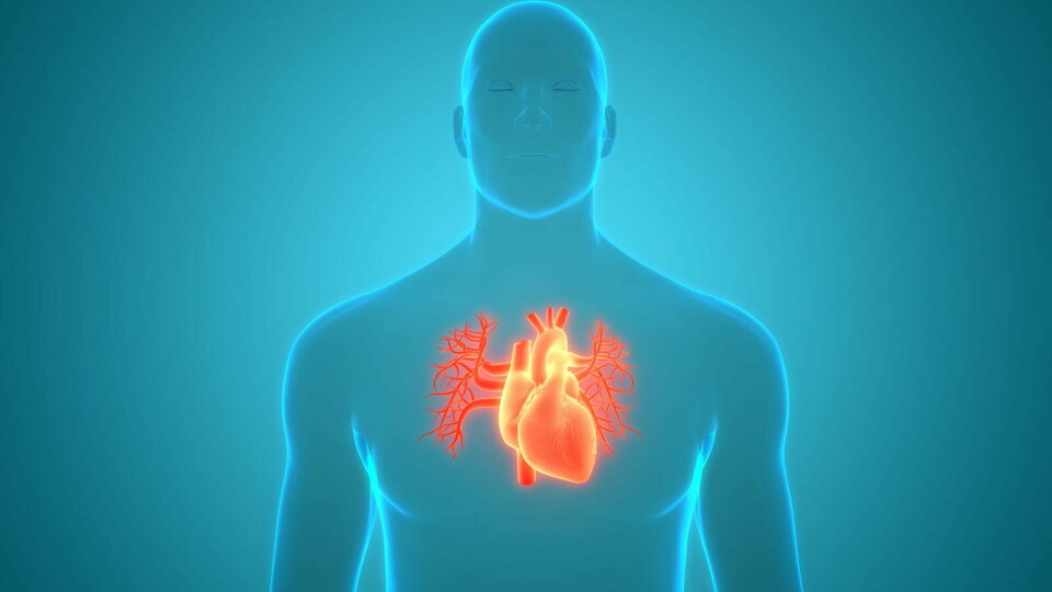 Risikoen for å dø i oppfølgingsperioden var 3,2 ganger høyere blant de med medfødt hjertefeil. Men den økte risikoen avtok jo senere personen ble født etter 1975. Illustrasjonsbilde: Getty Images Foto: