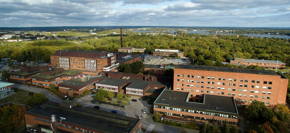 STILLER KRAV: Kvinneklinikken ved Blekingesjukhuset Karlskrona har tatt inn i ansettelsesavtalen at ansatte ved klinikken må stille seg positive til abort. Foto: Region Blekinge