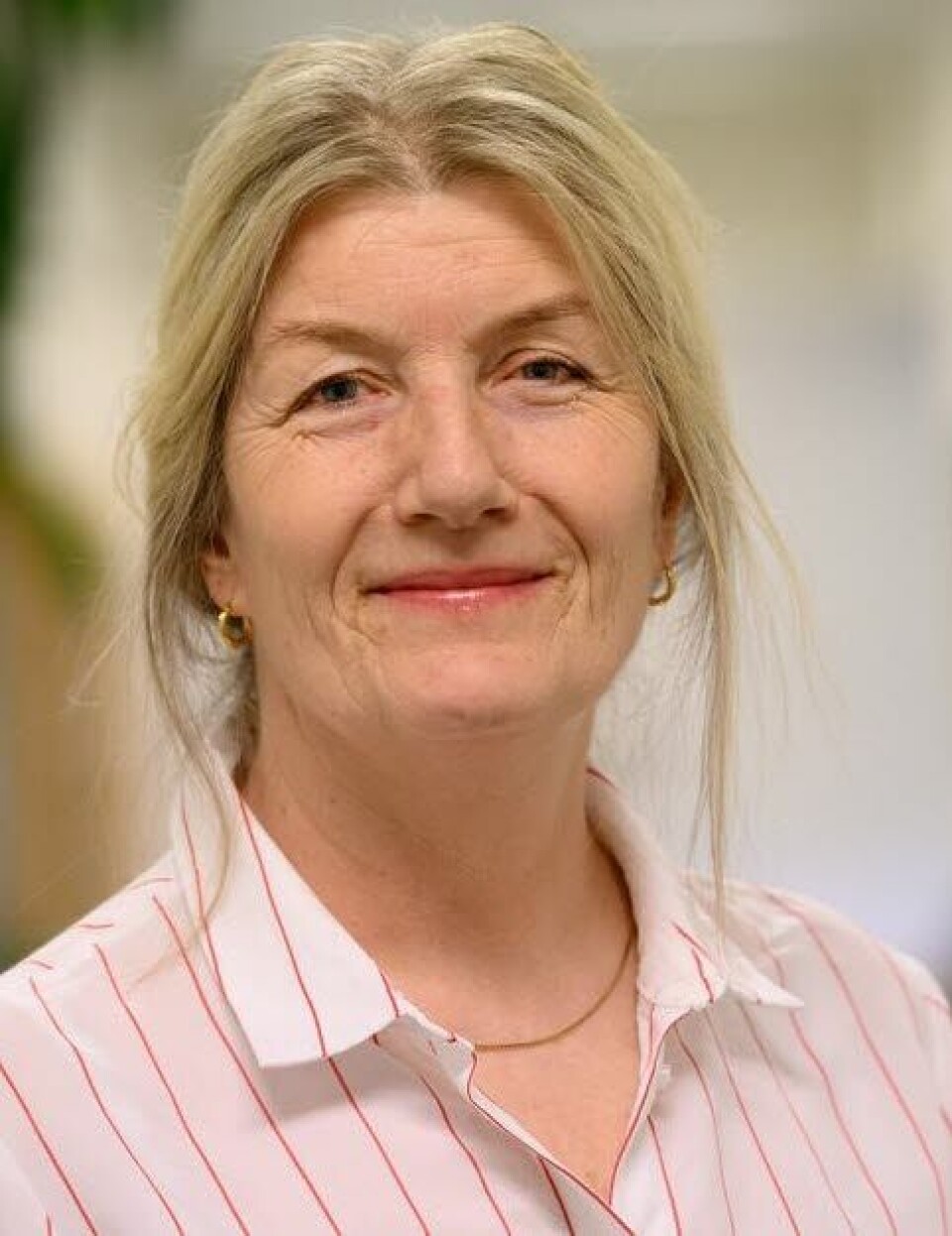 DELER BEKYMRING: Direktør Helle Schøyen ved Stavanger universitetssjukehus sier at hun skjønner at de ansatte er bekymret for delt drift.
Foto: SUS DELER BEKYMRING: Direktør Helle Schøyen ved Stavanger universitetssjukehus sier at hun skjønner at de ansatte er bekymret for delt drift.
Foto: SUS