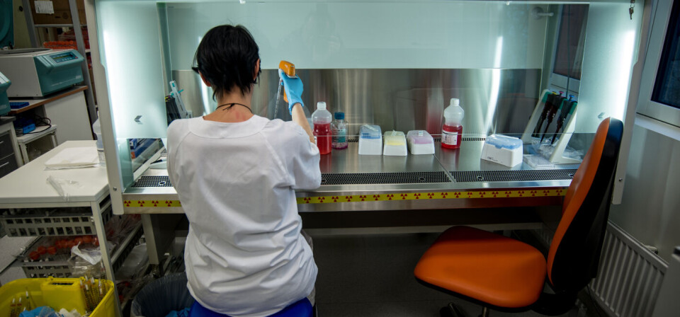 FÅR MER MIDLER: Av i alt 179,2 millioner kroner i Kreftforeningens årlige tildeling av forskningsmidler, går 40 millioner til studier på immunterapi. Foto: FÅR MER MIDLER: Av i alt 179,2 millioner kroner i Kreftforeningens årlige tildeling av forskningsmidler, går 40 millioner til studier på immunterapi. Foto: