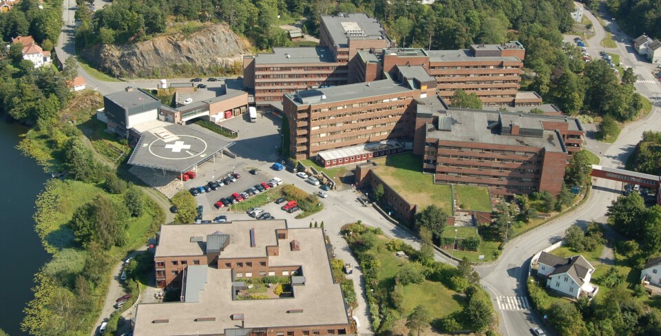 TAR GREP: – Dette kan komme veldig raskt, sier fagdirektør, Susanne Hernes. Foto: