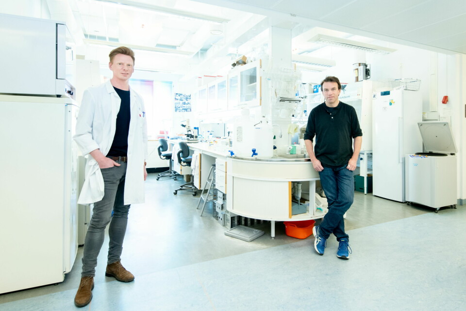 TOSPANN: Molekylærbiolog Jan Terje Andersen og forsker/lege Fridtjof Lund-Johansen jobber ved Oslo universitetssykehus (OUS) med å utvikle antistofftester som kan påvise om personer har vært utsatt for det nye koronaviruset. Foto: