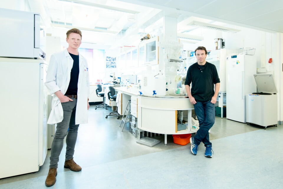 TOSPANN: Molekylærbiolog Jan Terje Andersen og forsker/lege Fridtjof Lund-Johansen jobber ved Oslo universitetssykehus (OUS) med å utvikle antistofftester som kan påvise om personer har vært utsatt for det nye koronaviruset. Foto: TOSPANN: Molekylærbiolog Jan Terje Andersen og forsker/lege Fridtjof Lund-Johansen jobber ved Oslo universitetssykehus (OUS) med å utvikle antistofftester som kan påvise om personer har vært utsatt for det nye koronaviruset. Foto: