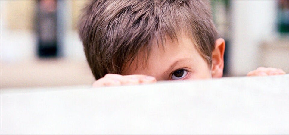 Foto: Colourbox