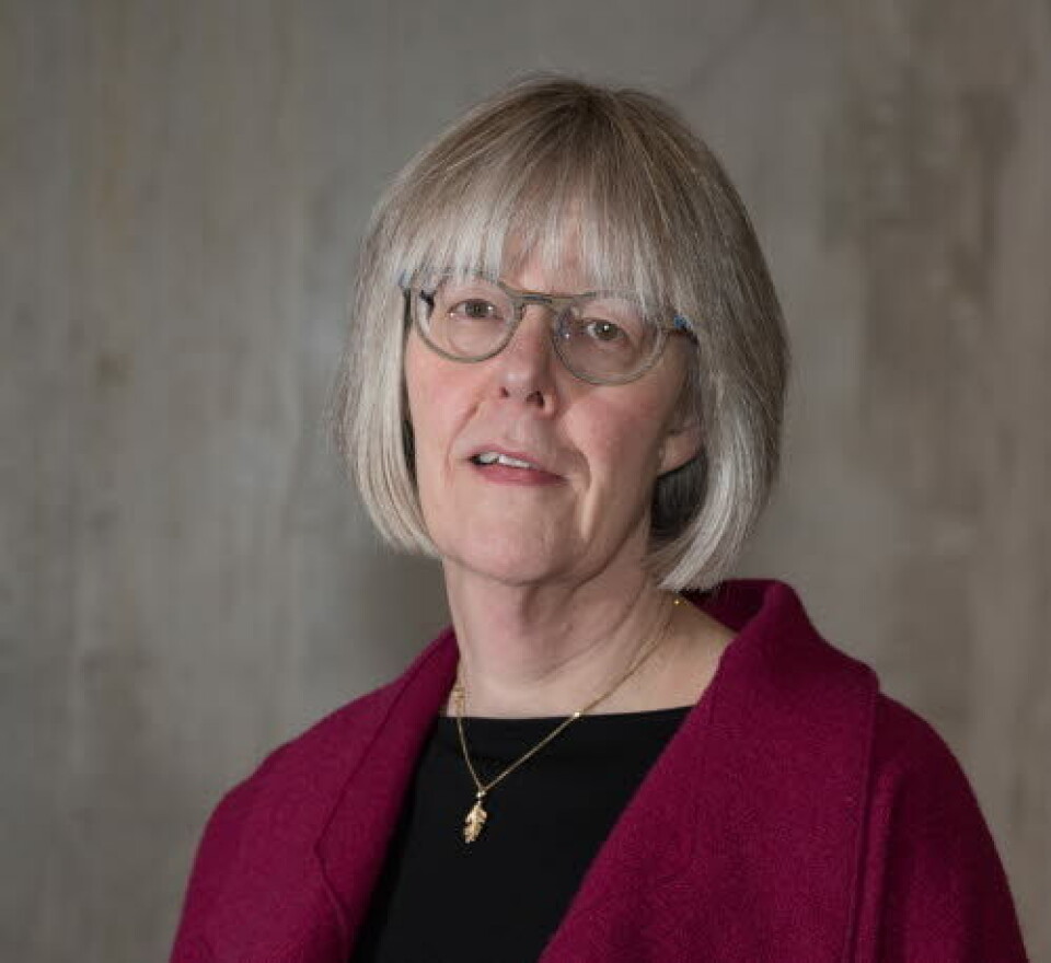 Statssekretær Anne Grethe Erlandsen. Arkivfoto. Statssekretær Anne Grethe Erlandsen. Arkivfoto.