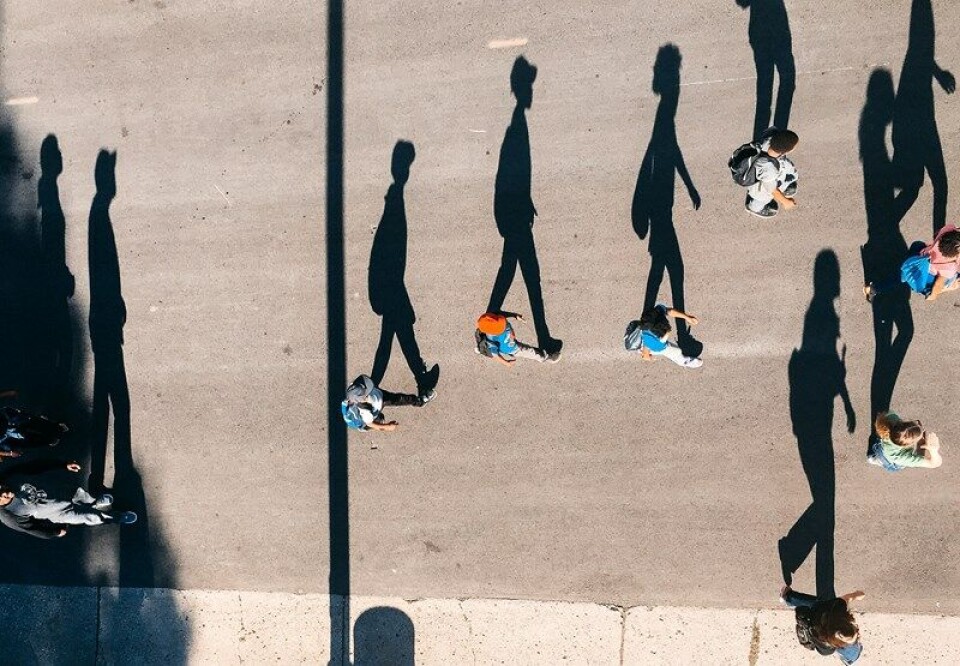 Foto: Unsplash Foto: Unsplash