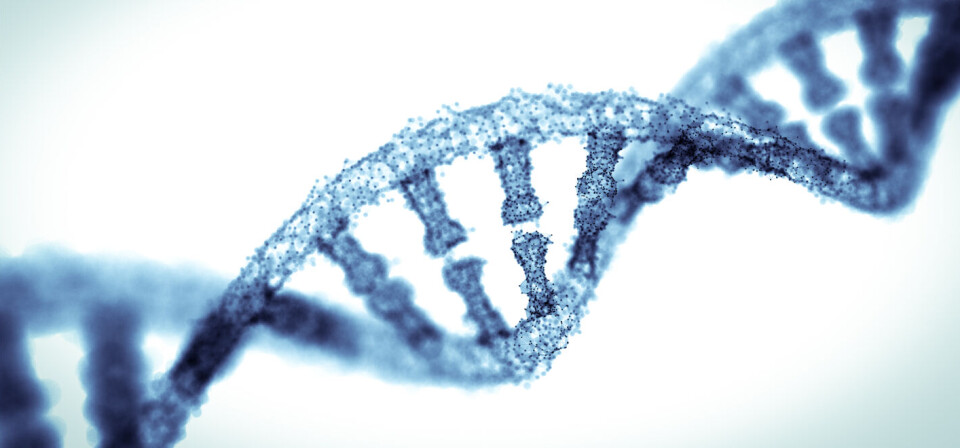 Foto: iStock/Getty Images