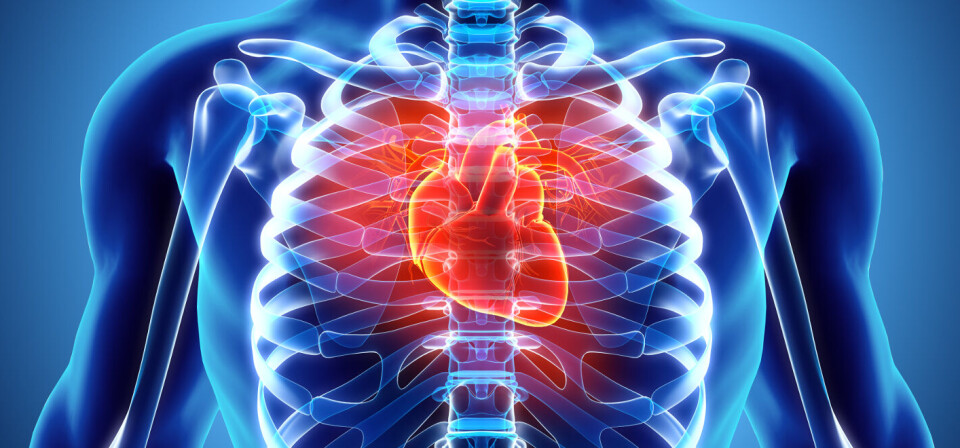 Foto: iStock/Getty Images
