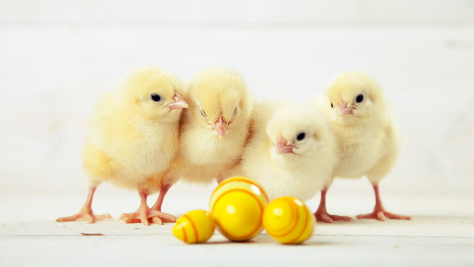 Foto: Getty Images
