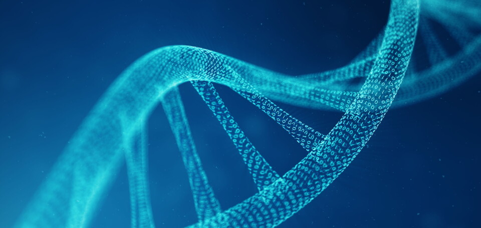 HAR TROEN: – Sammen ser vi frem til å utvikle blodanalyser for tidlig oppdagelse av flere krefttyper, som kan bli et et av de mest innflytelsesrike onkologi-produktene i historien, sier Base Genomics-direktøren. Illustrasjon: Getty Images Foto:
