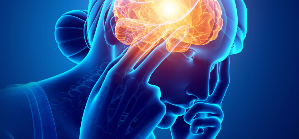 Foto: iStock/Getty Images