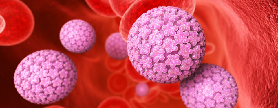 Illustrasjonen viser HPV-viruset. Illustrasjon: Getty Images Foto: